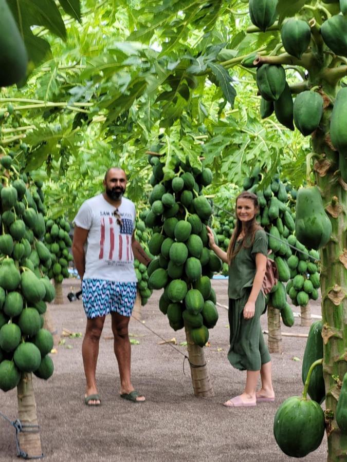 Dhonkamana Stay Thoddoo Eksteriør billede